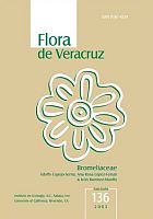 book2005-Veracruz.JPG